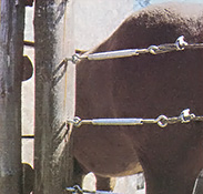 Turnbuckles provide and easy way to tighten the fence wires.